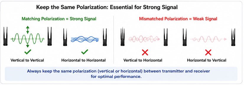 Complete Guide to 2.4G/5.8G Antenna Selection: How Do You Choose the Right One?